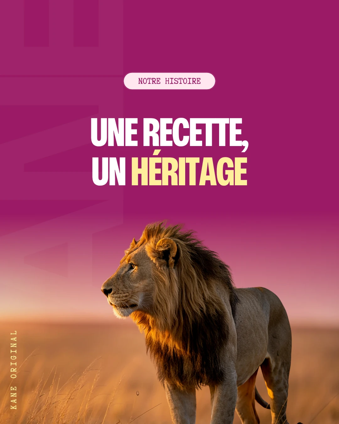 Kane Original : une recette, un héritage, avec un lion au coucher du soleil